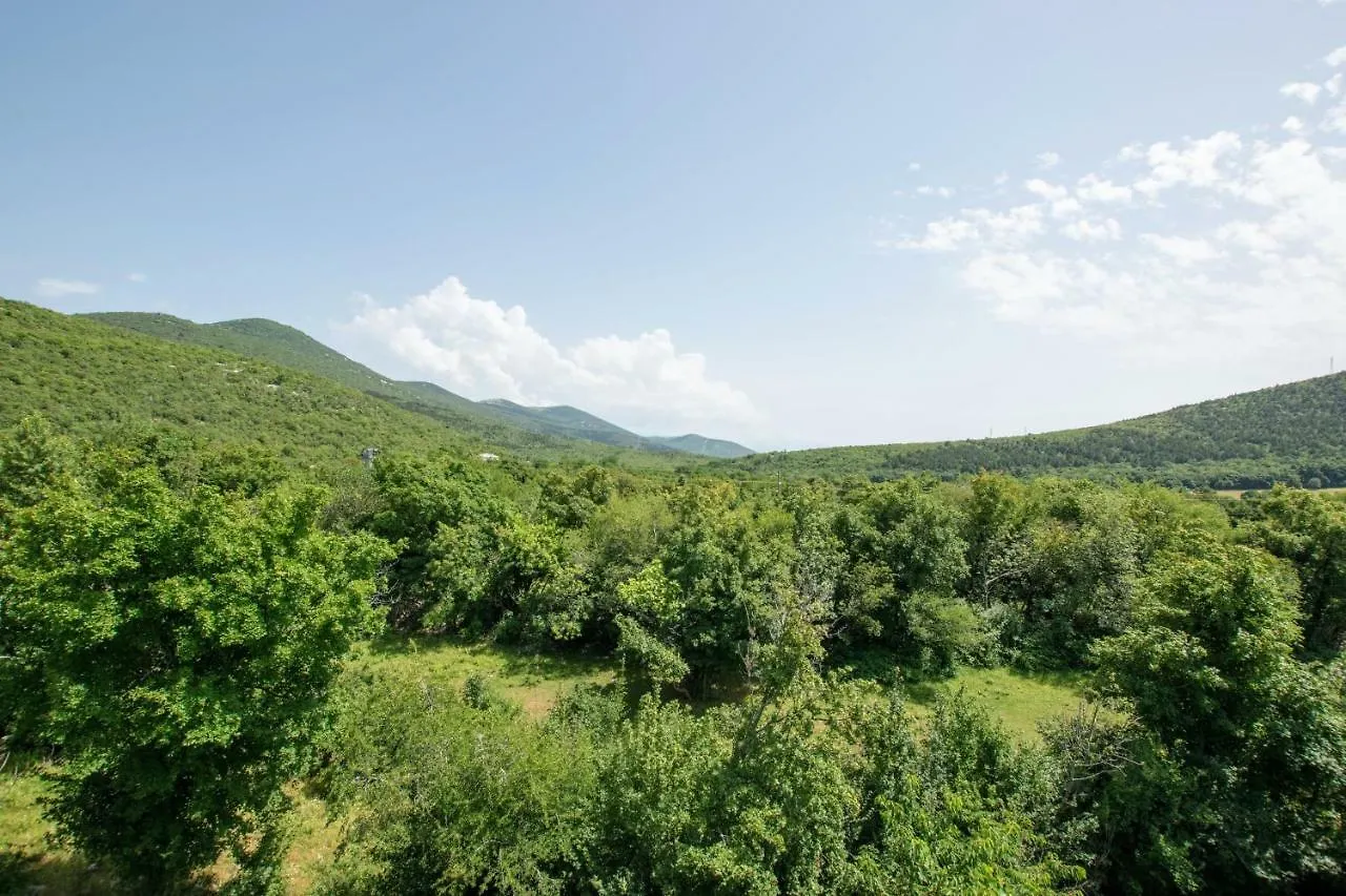 Apartments Frkovic Ledenice