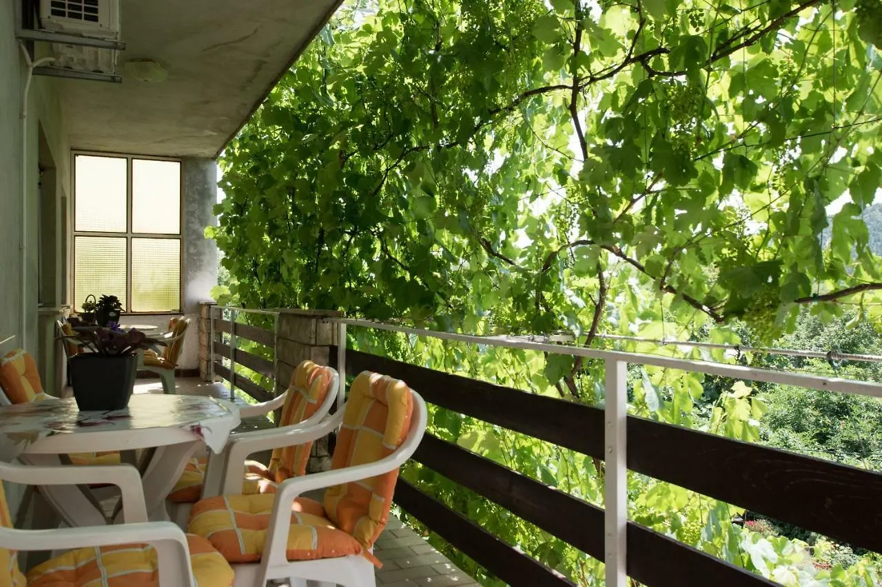 Apartments Frkovic Ledenice